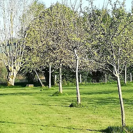 Au Bouton Dort Bed & Breakfast *